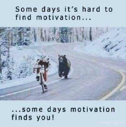 motivation